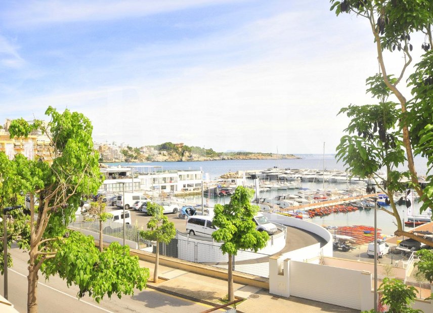Gensalg - Villa -
Palma - Palma urbano