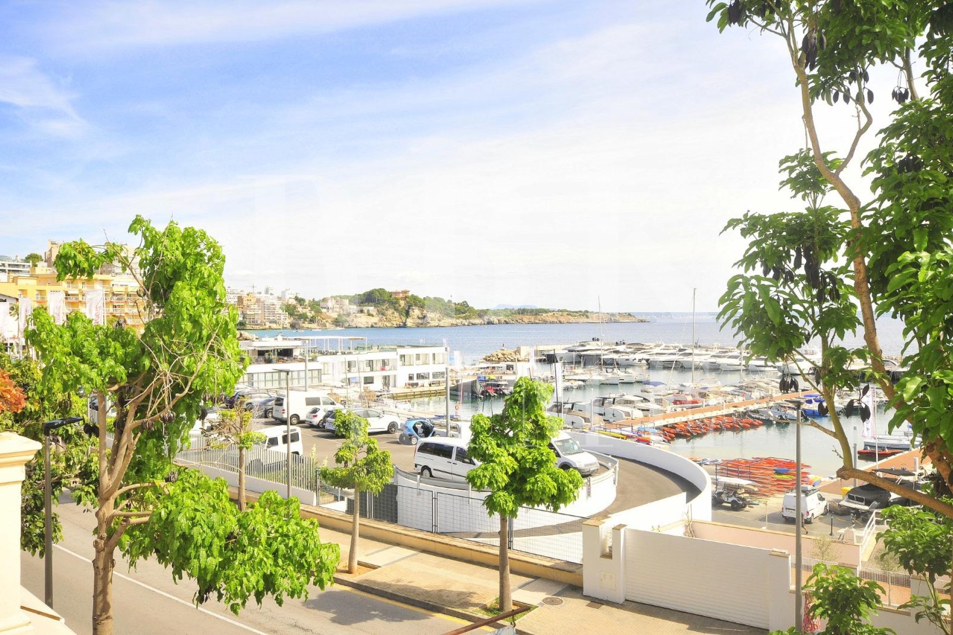 Gensalg - Villa -
Palma - Palma urbano