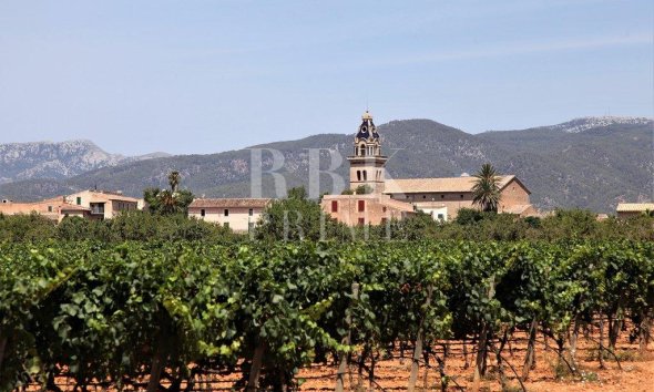 Investment building - Gensalg - Santa Maria - Santa Maria del Camí