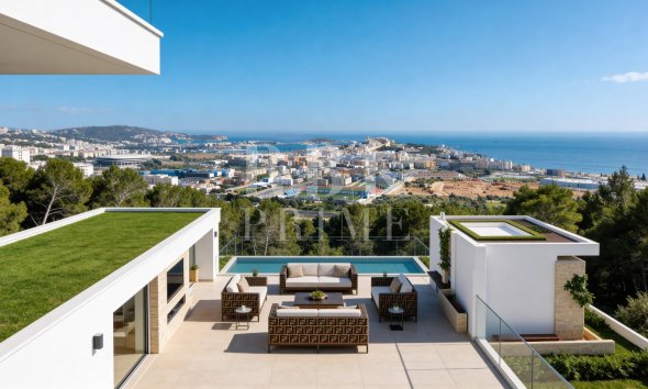 Land - Gensalg - Eivissa - Ibiza -
                Illa Plana