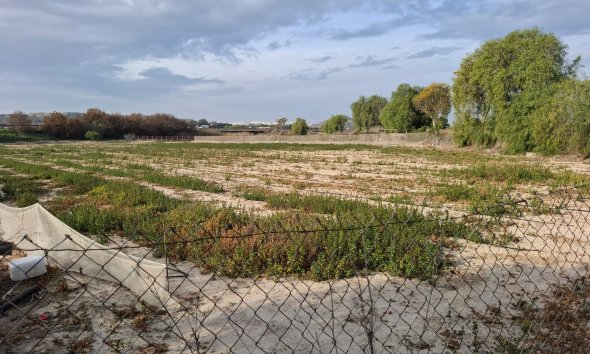 Land - Gensalg - Guardamar del Segura - Guardamar del Segura