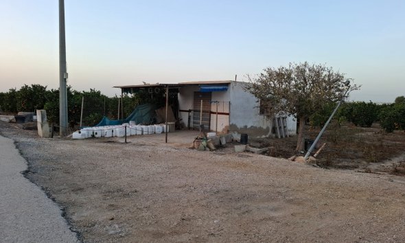 Land - Gensalg - Guardamar del Segura - Guardamar del Segura
