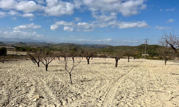Land - Resale - BULLAS - Costa Calida