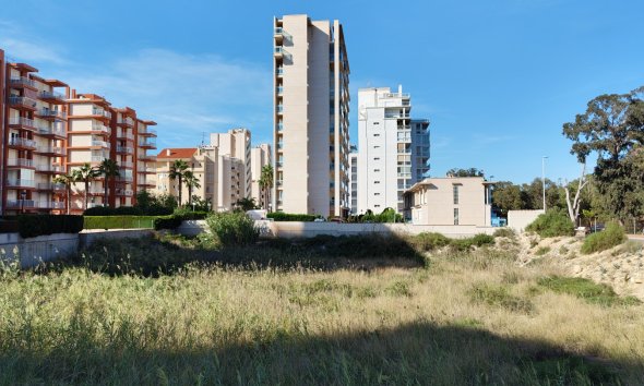 Land - Resale - Guardamar del Segura -
                Guardamar del Segura