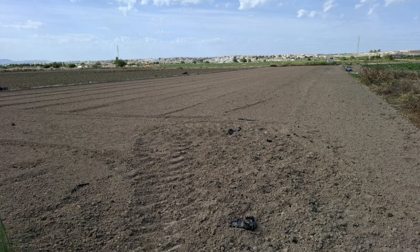 Land - Resale - Guardamar del Segura -
                Guardamar del Segura
