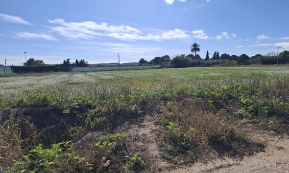 Land - Resale - Guardamar del Segura -
                Guardamar del Segura