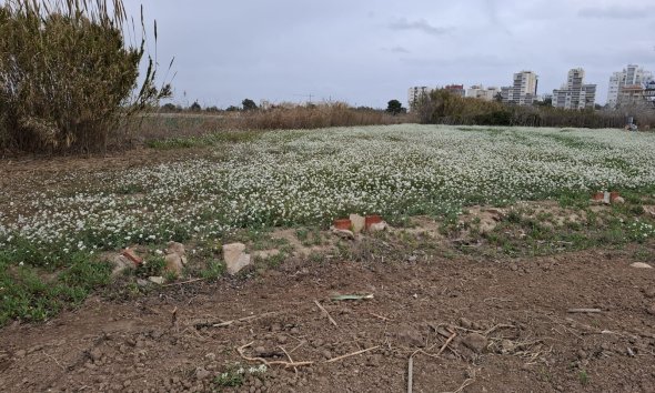 Land - Resale - Guardamar del Segura -
                Guardamar del Segura