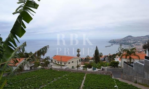 Land - Resale - Madeira - Madeira