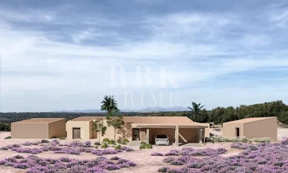 Land - Resale - Manacor -
                Manacor pueblo