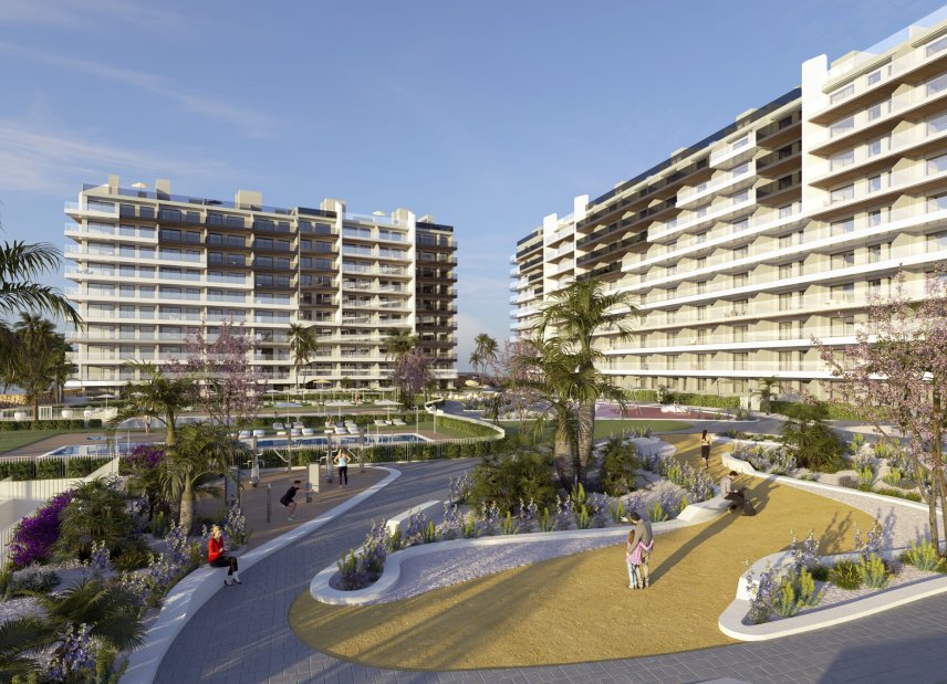 New Build - apartment -
Punta Prima
