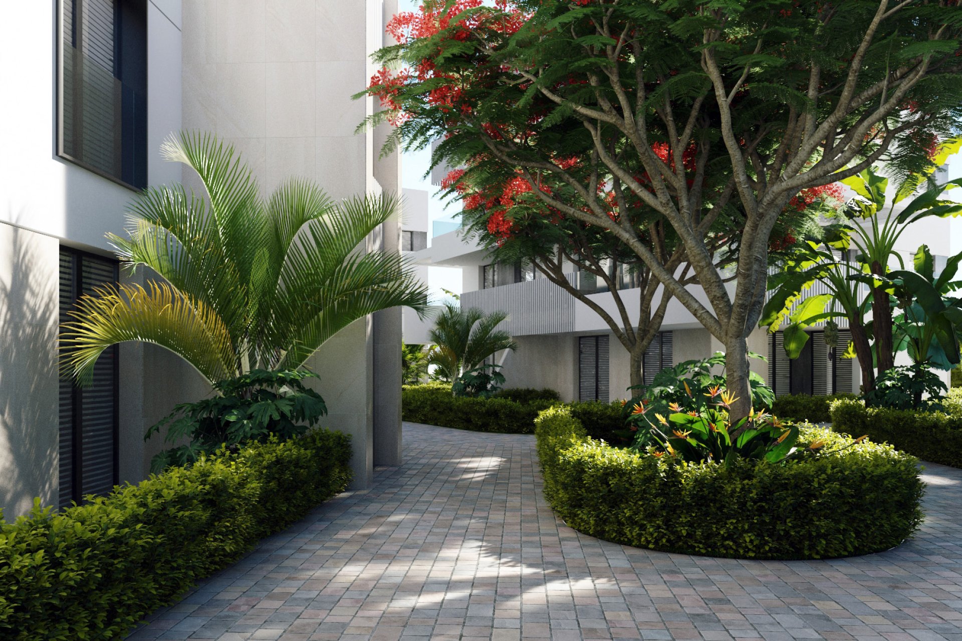 New Build - Penthouse -
Santa Rosalía