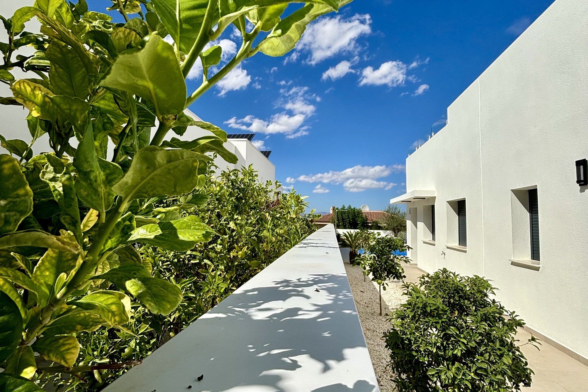 Nybyggeri - detached -
Benijofar