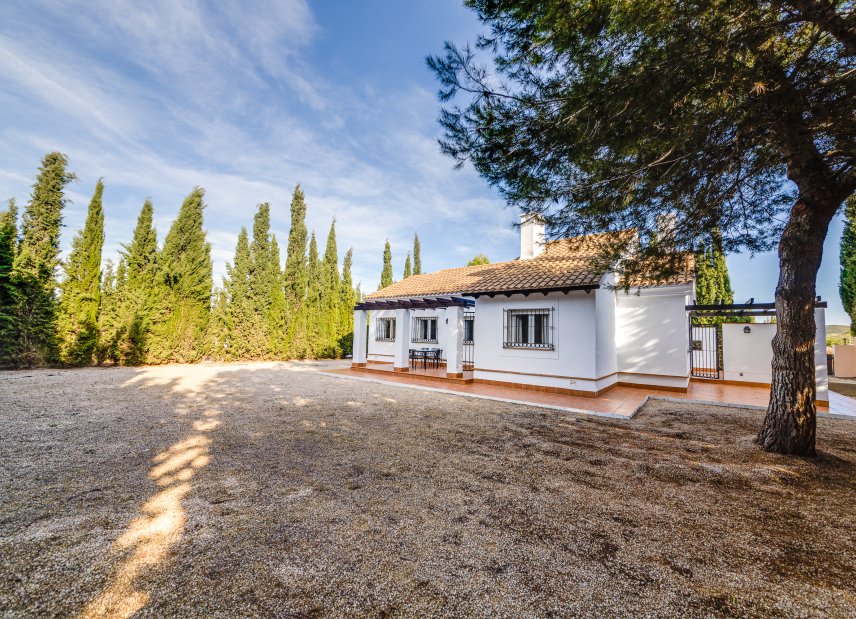 Nybyggeri - detached -
Fuente Alamo