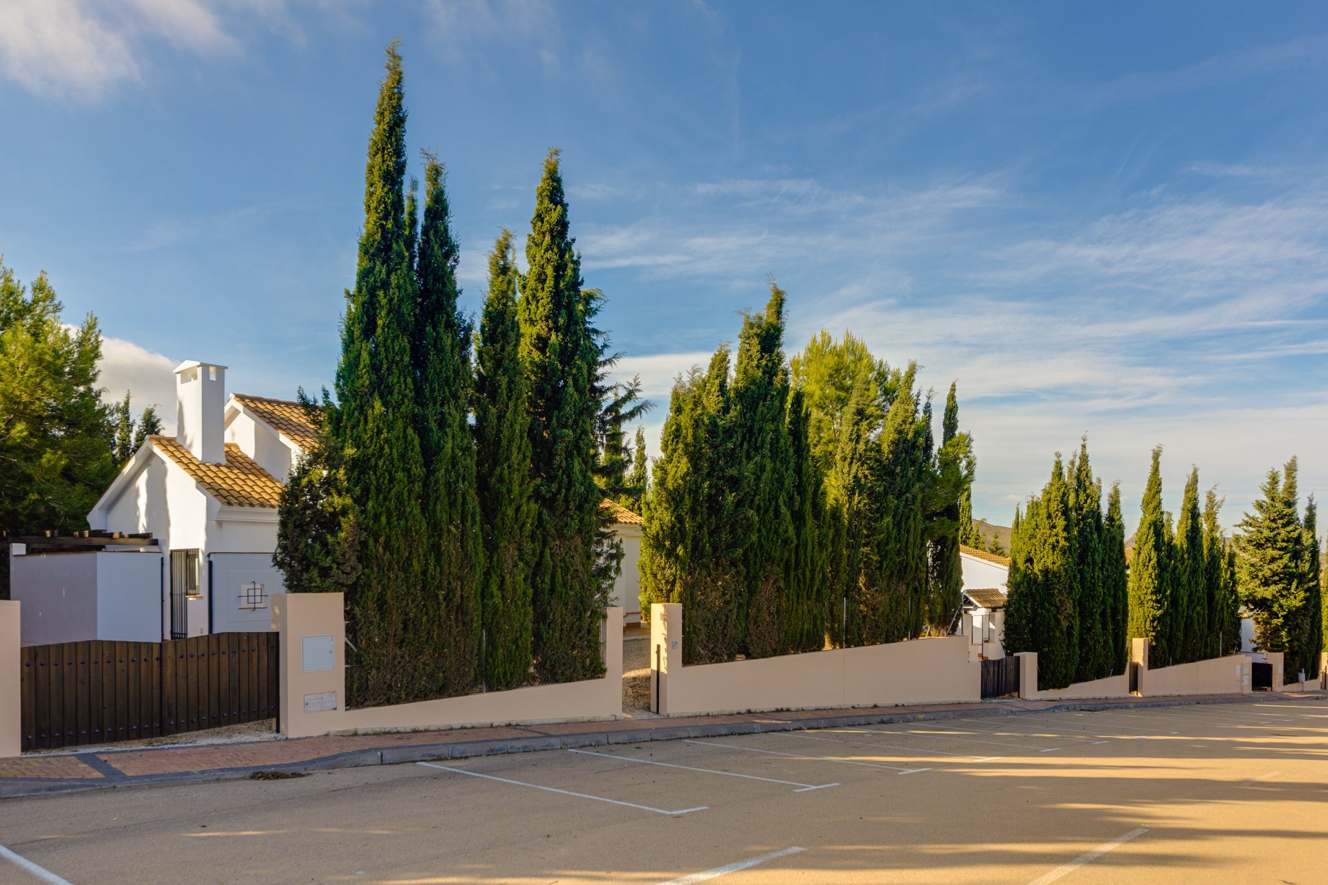 Nybyggeri - detached -
Fuente Alamo