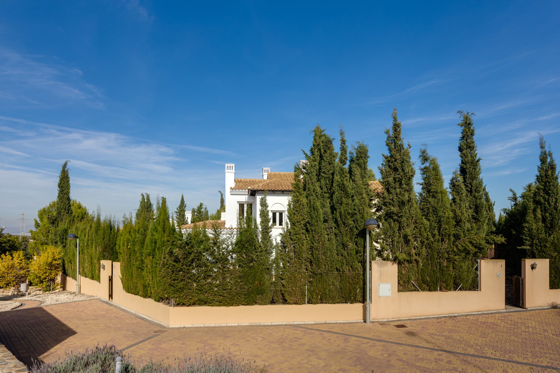 Nybyggeri - detached -
Fuente Alamo