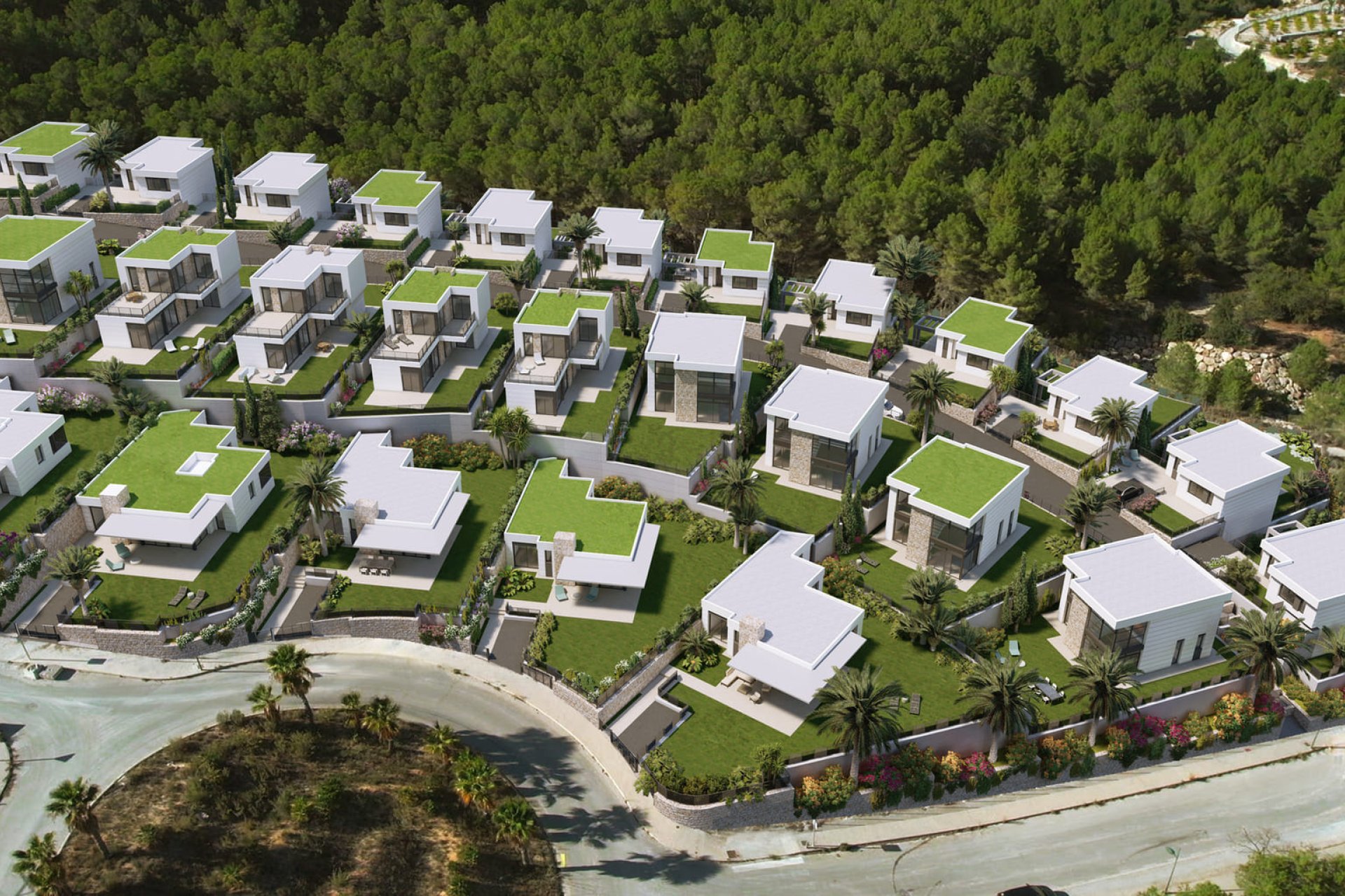 Nybyggeri - detached -
Polop