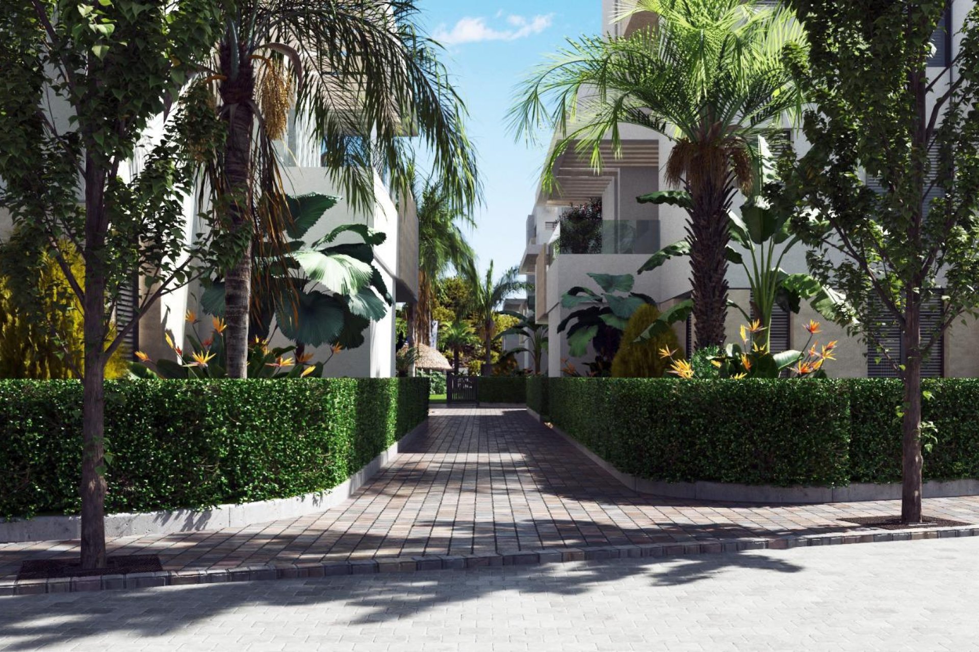 Nybyggeri - Penthouse -
Santa Rosalía