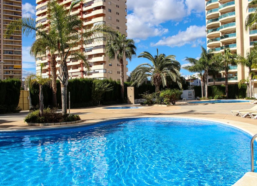 Obra nueva - apartment -
Calasparra - Calp