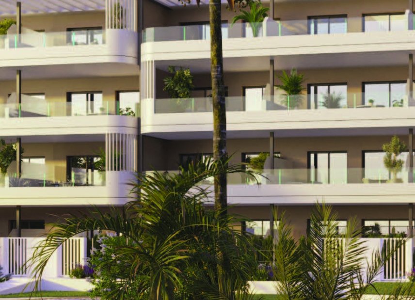 Obra nueva - apartment -
Torrevieja