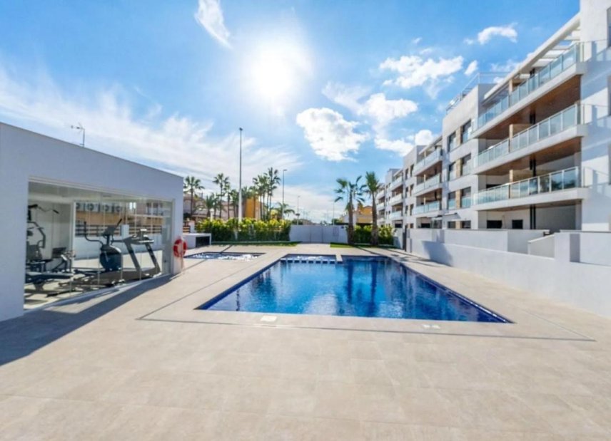 Obra nueva - Ático -
Torrevieja