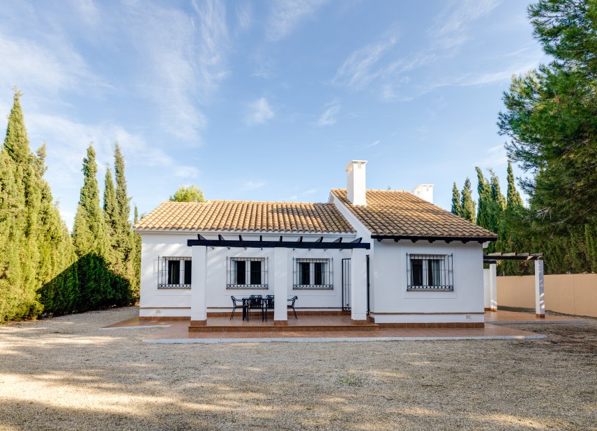 Obra nueva - detached -
Fuente Alamo