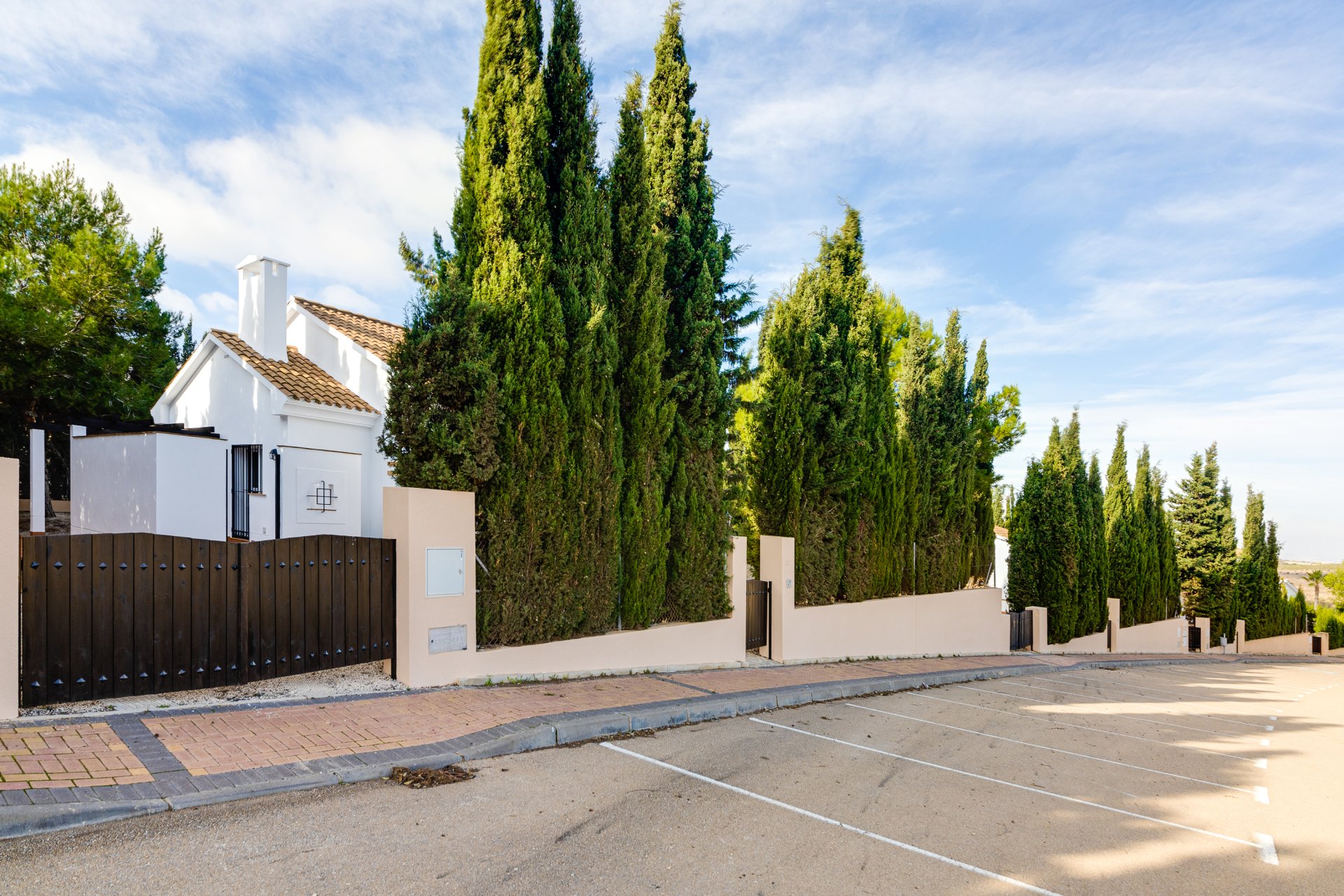 Obra nueva - detached -
Fuente Alamo