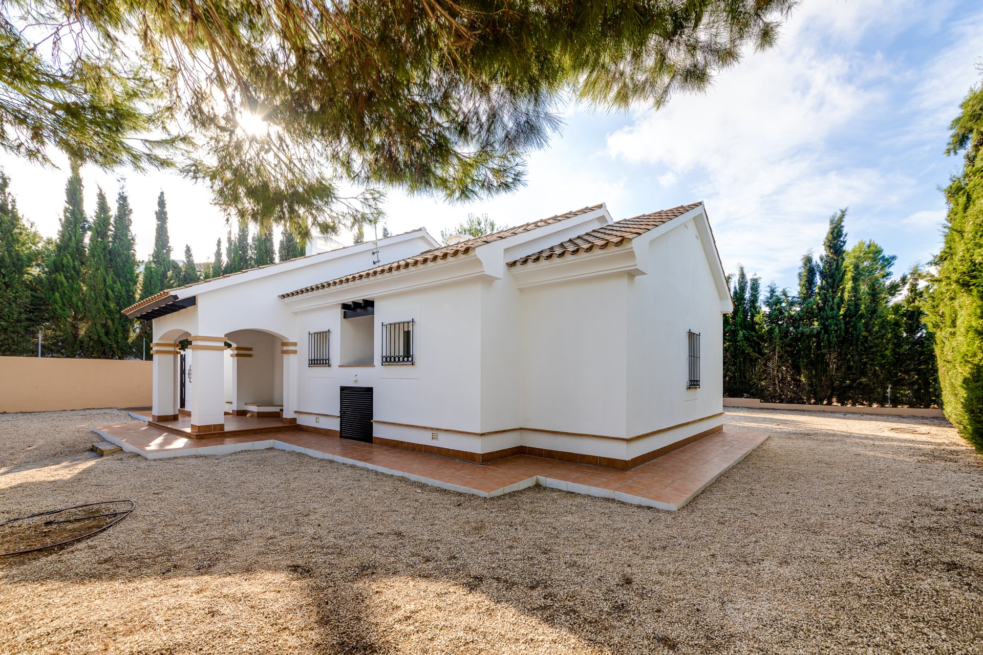 Obra nueva - detached -
Fuente Alamo