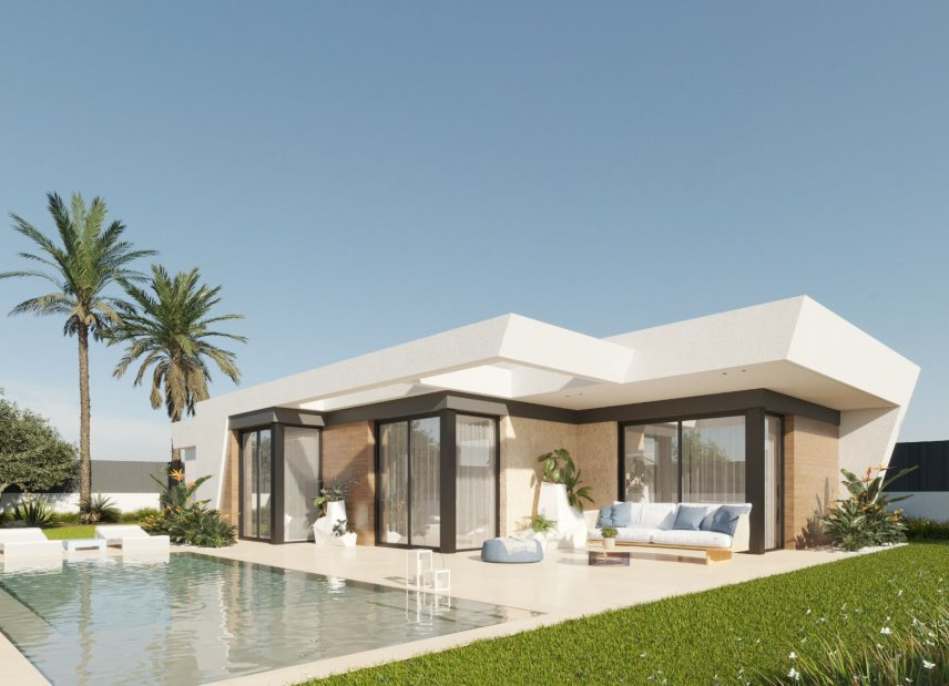 Obra nueva - detached -
Molina de Segura