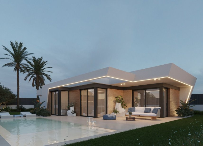 Obra nueva - detached -
Molina de Segura
