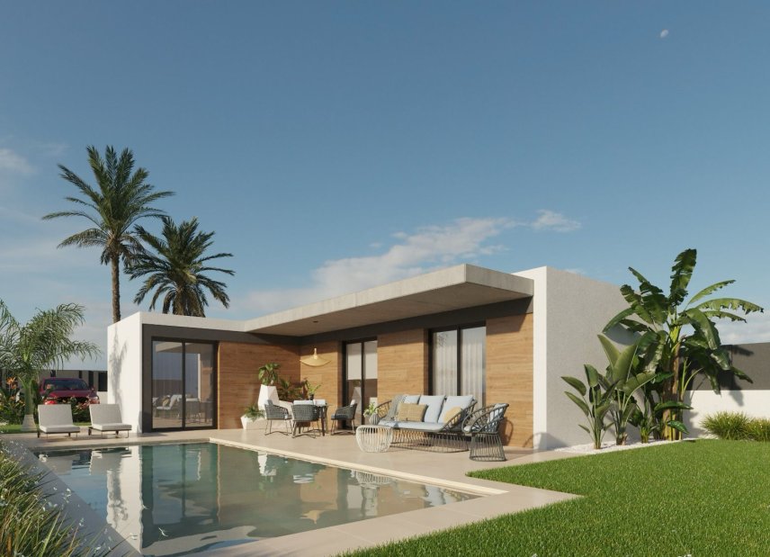Obra nueva - detached -
Molina de Segura