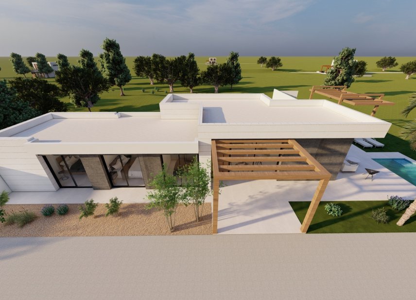 Obra nueva - detached -
Pilar de la Horadada