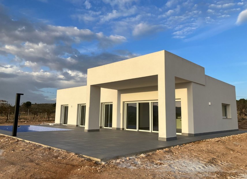 Obra nueva - detached -
Pinoso