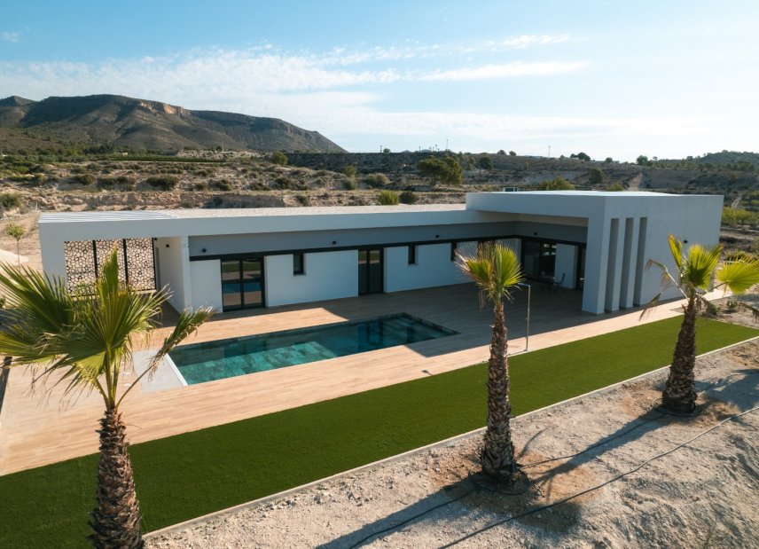 Obra nueva - detached -
Pinoso