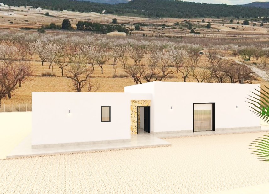 Obra nueva - detached -
Pinoso