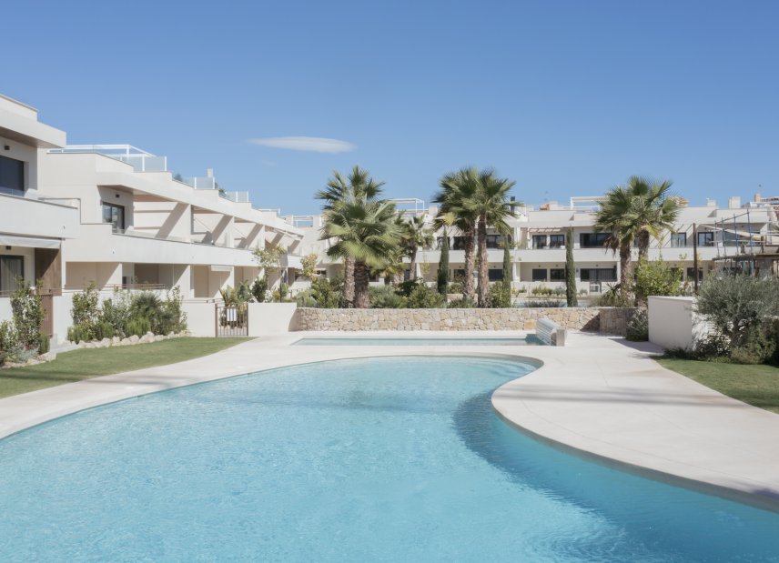 Obra nueva - high-bungalow -
Torrevieja