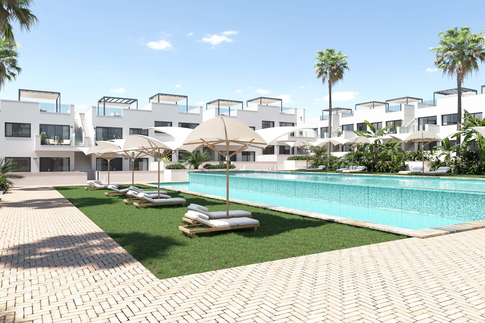 Obra nueva - low-bungalow -
Torrevieja