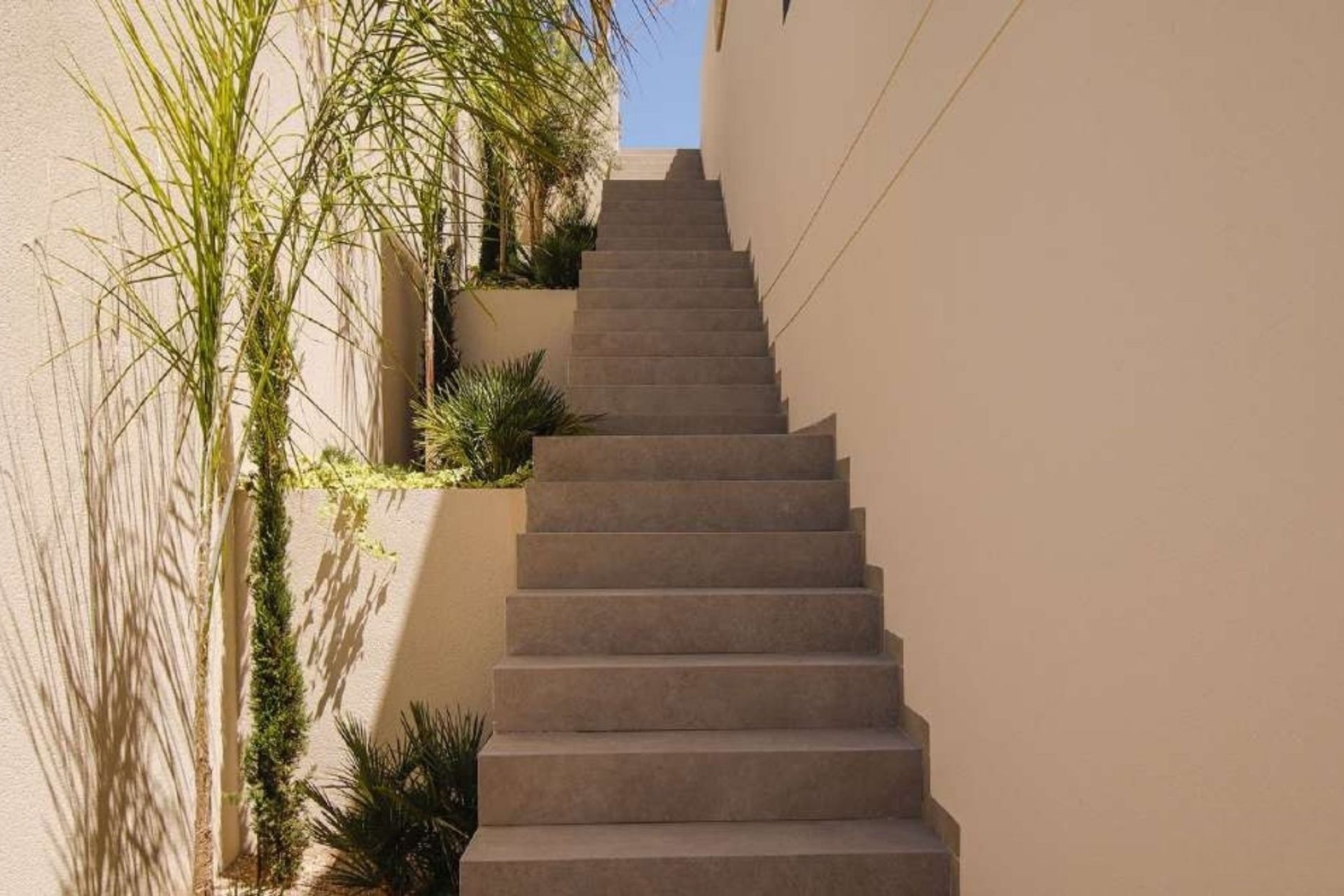 Obra nueva - Villa -
La Marina