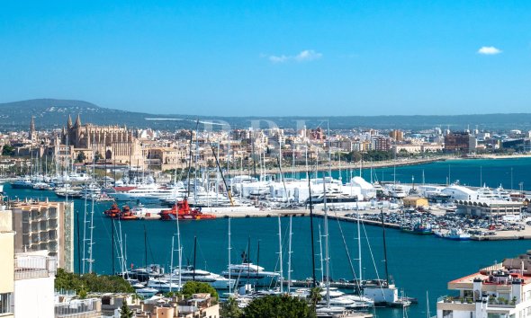 Palace - Gensalg - Palma - El Terreno