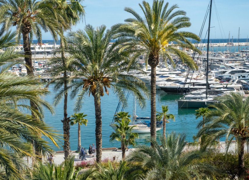 Resale - apartment -
Alicante - - Centro  -