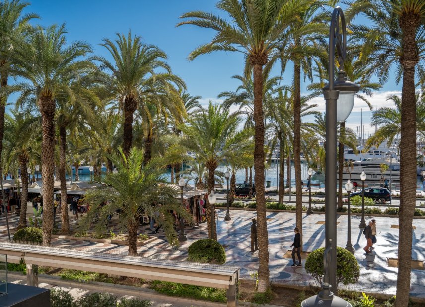 Resale - apartment -
Alicante - - Centro  -