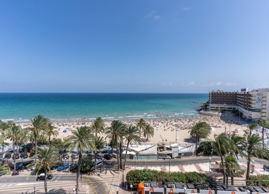 Resale - apartment -
Alicante - - Centro  -