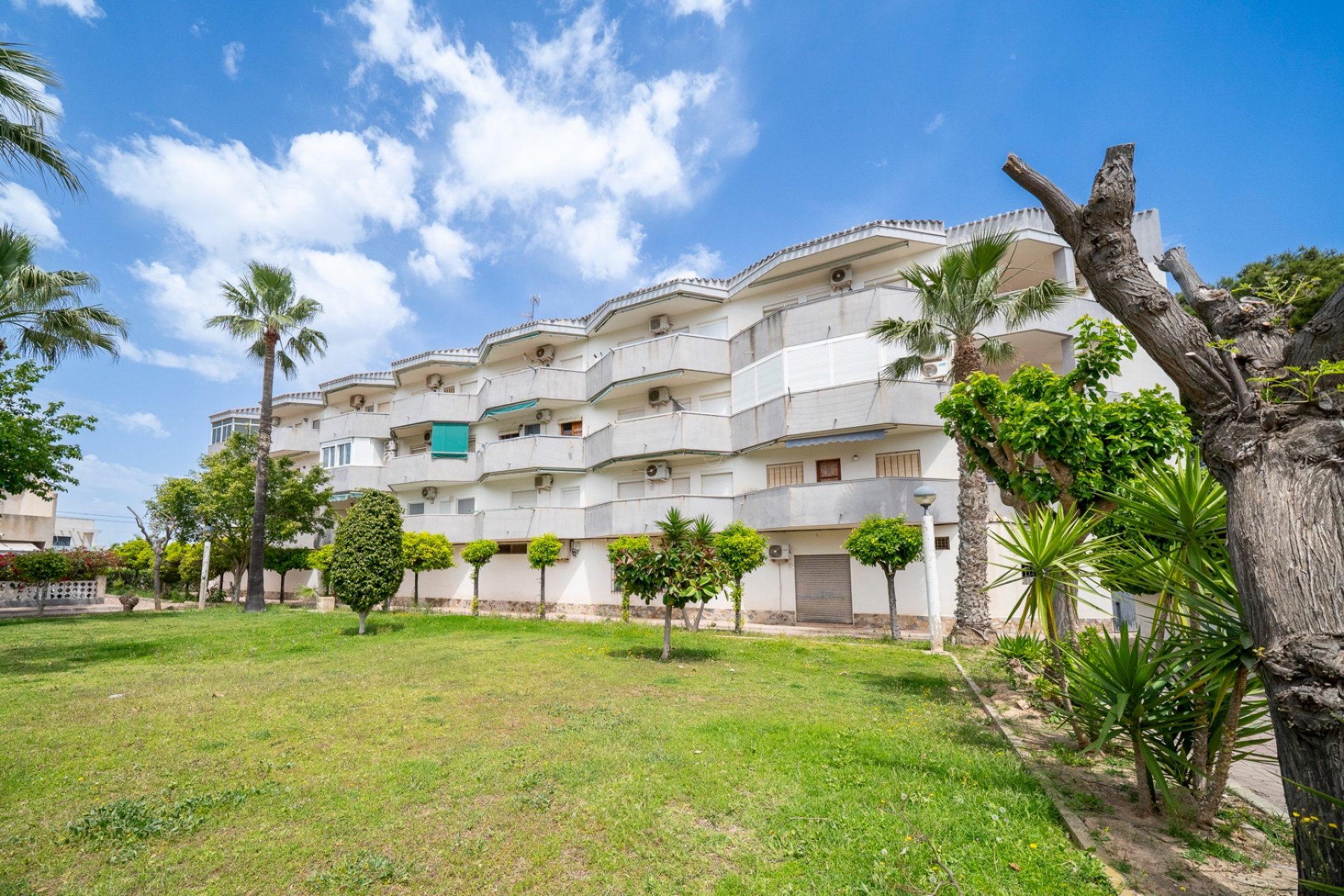 Resale - apartment -
Orihuela Costa - Cabo Roig