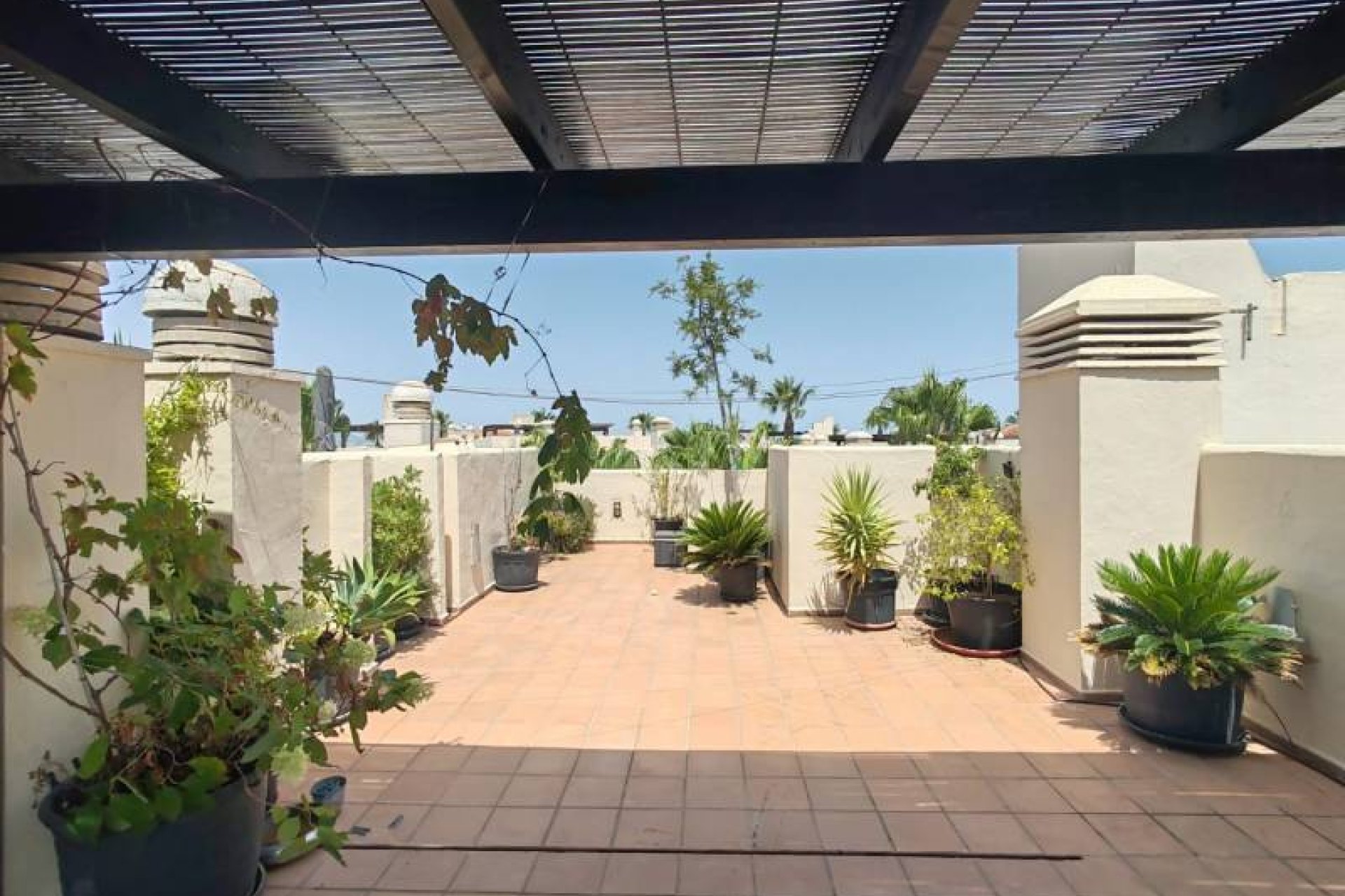Resale - apartment -
San Javier - Roda