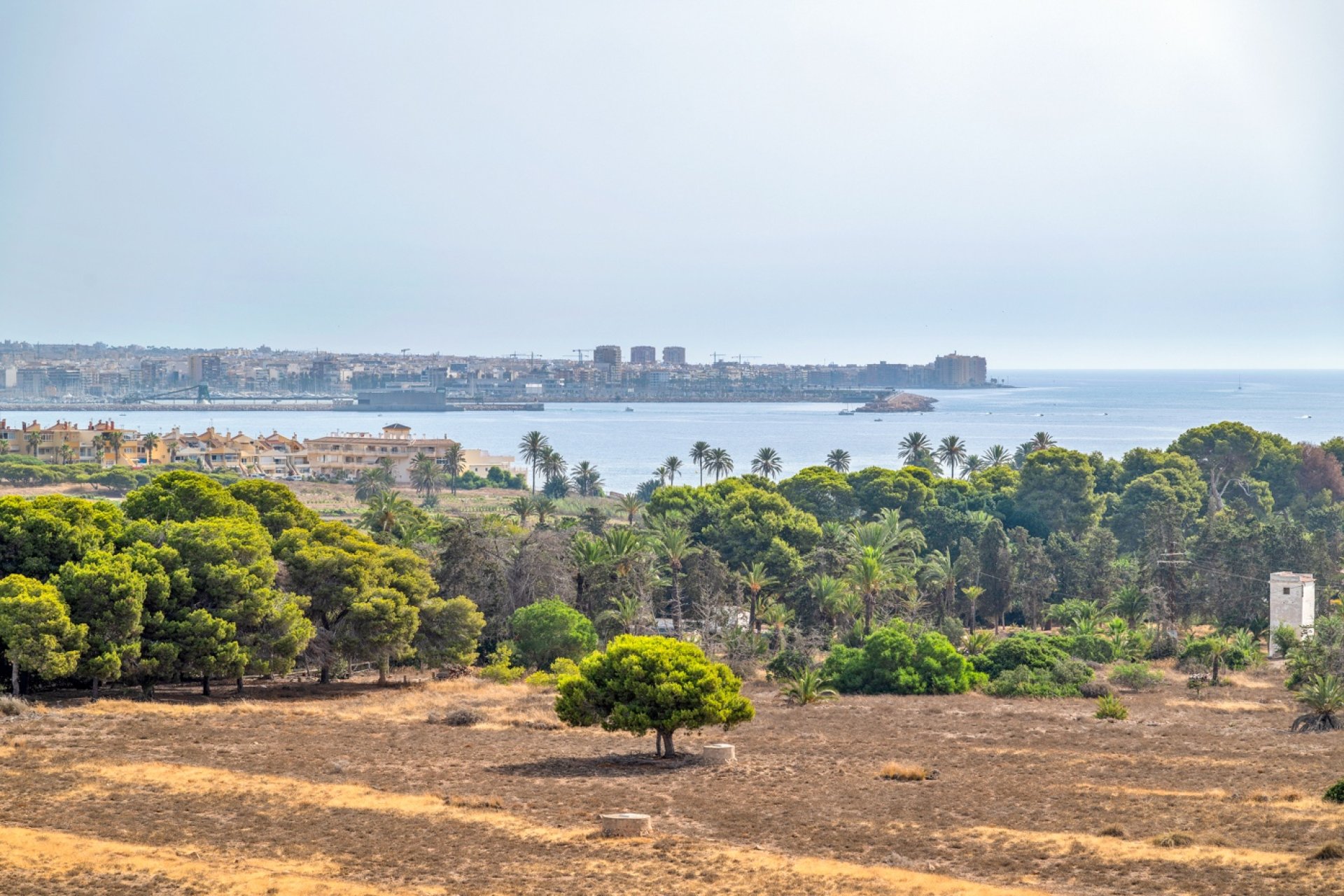 Resale - apartment -
Torrevieja - Punta Prima