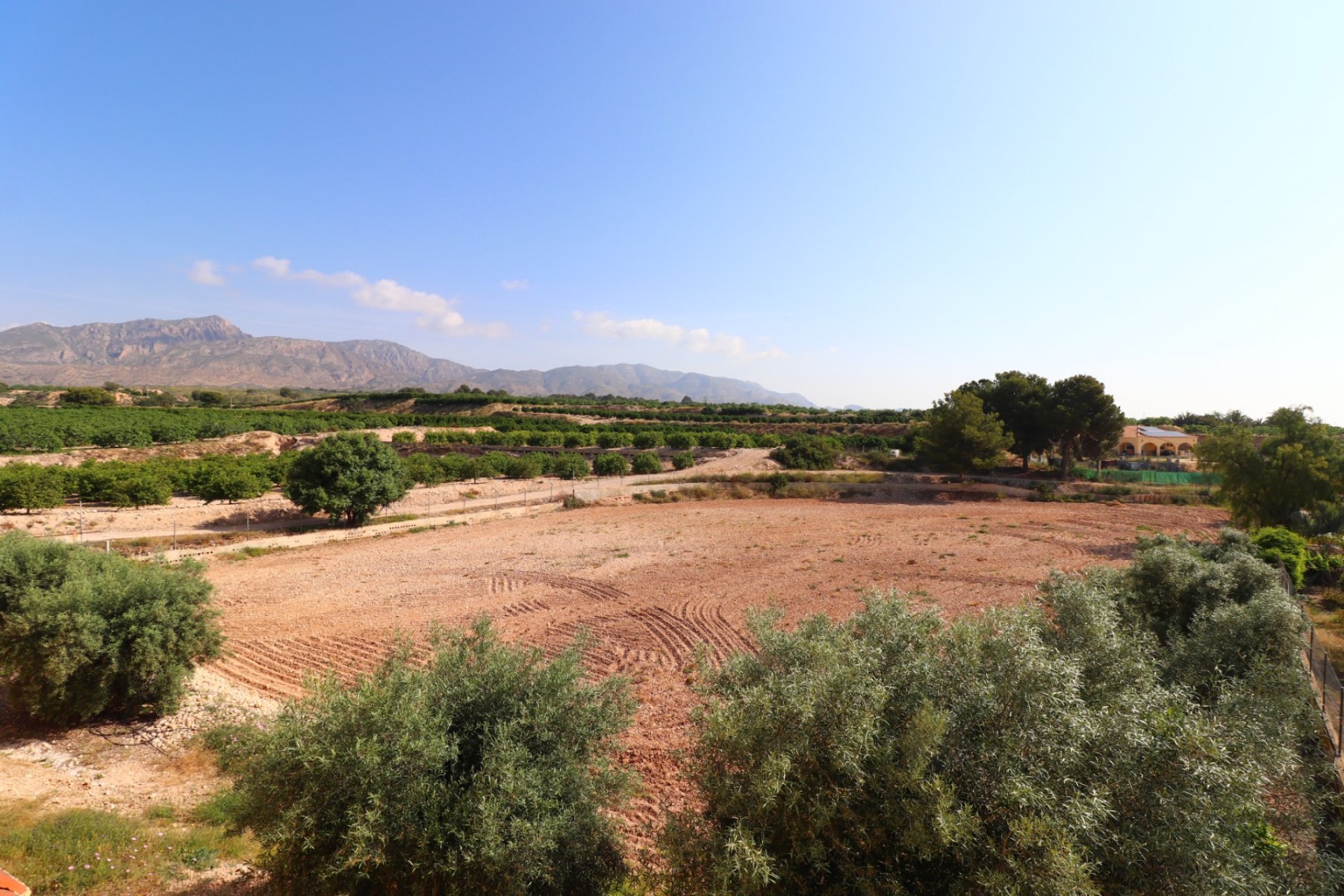 Resale - Country House -
Albatera - Albatera - Country