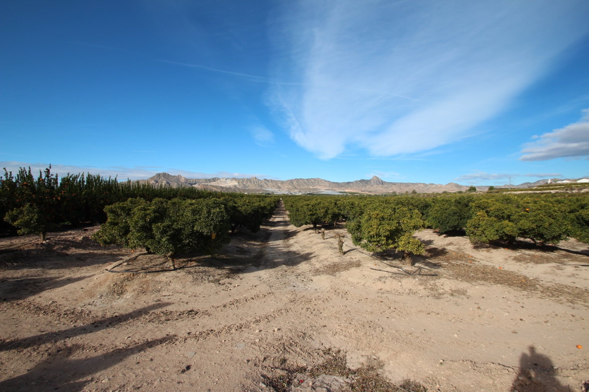 Resale - Country House -
Murcia - Costa Blanca