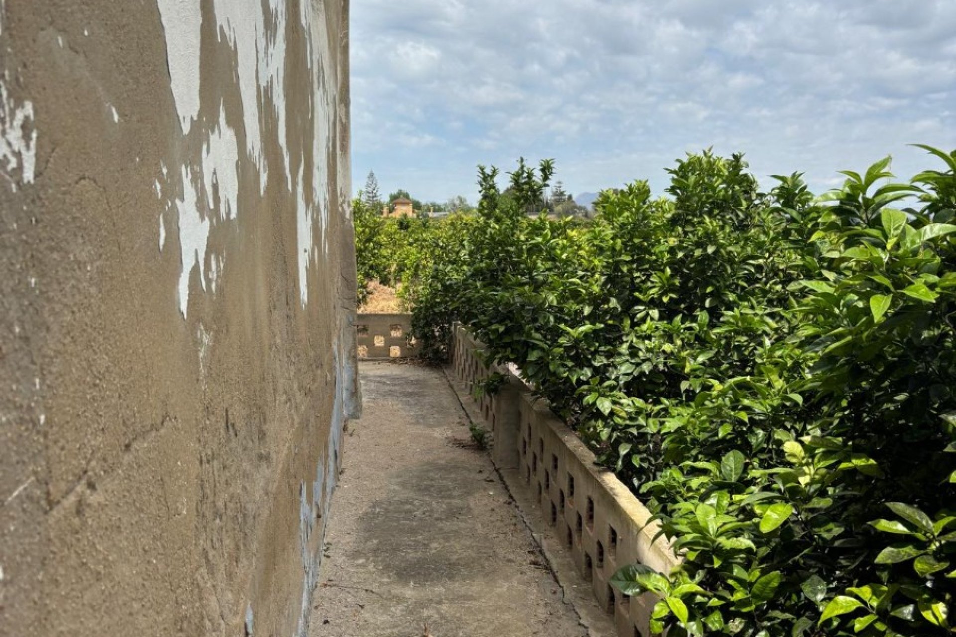 Resale - Country House -
Rojales - Ciudad Quesada