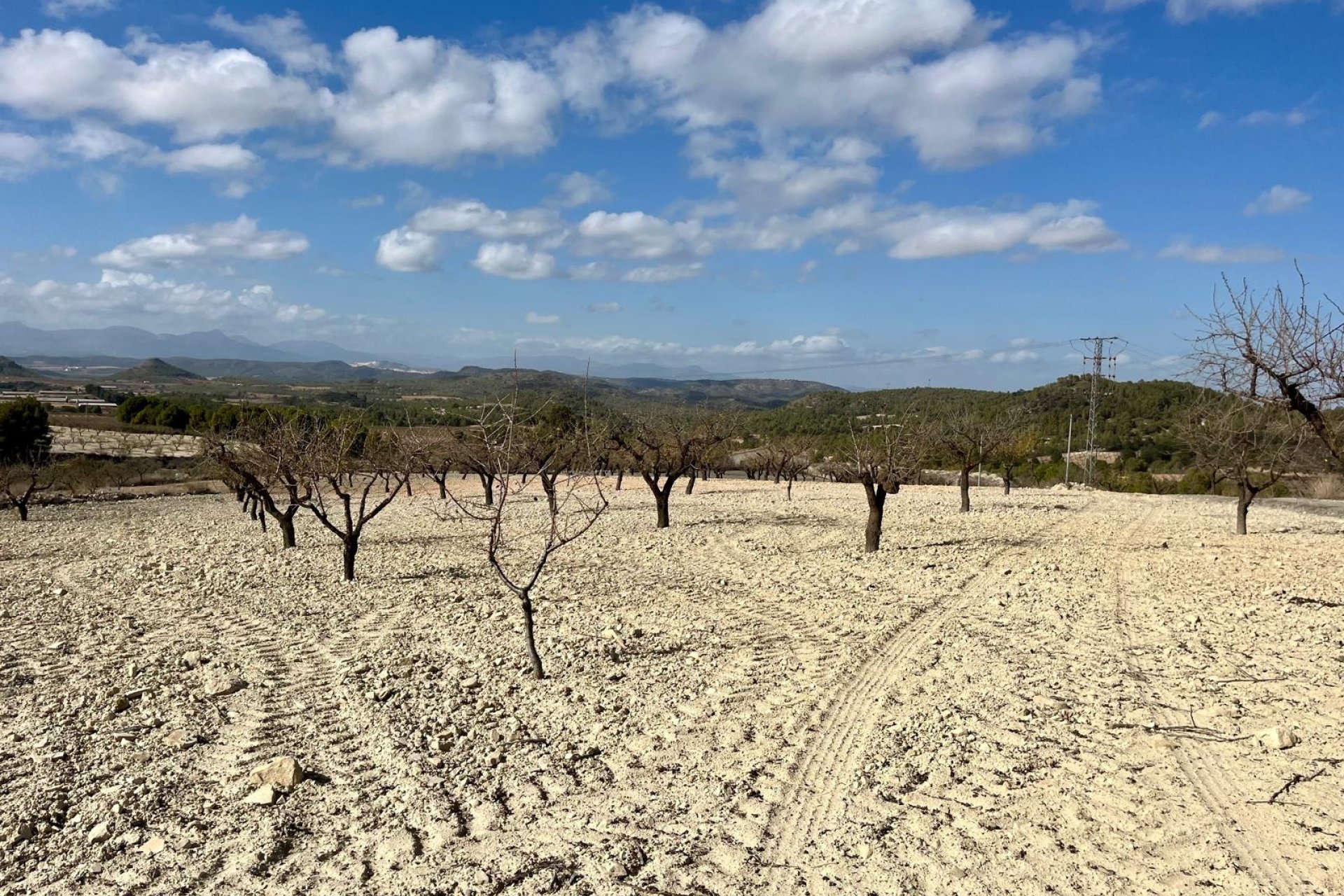 Resale - Land -
BULLAS - Costa Calida