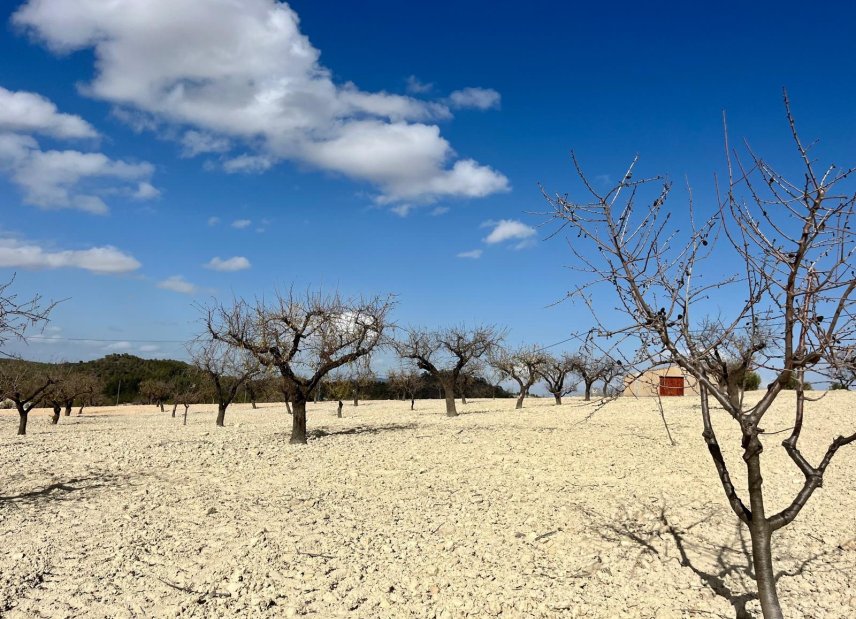 Resale - Land -
BULLAS - Costa Calida