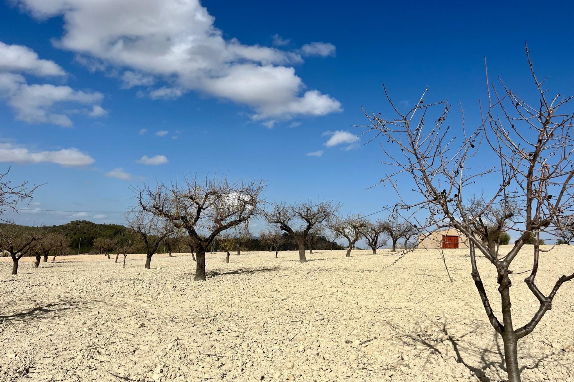 Resale - Land -
BULLAS - Costa Calida